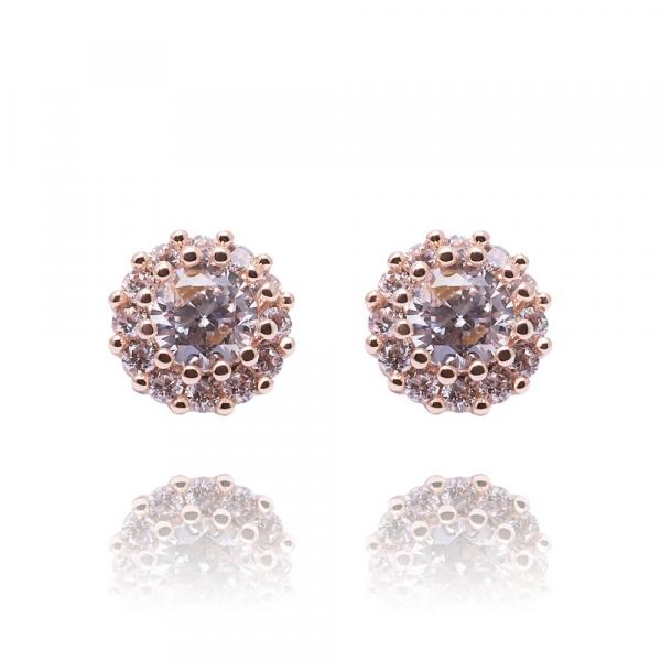 ANNIE ROSEWOOD Earrings Land Coral in Rose gold