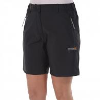 Regatta Fellwalk Strech Shorts, Grey GREY